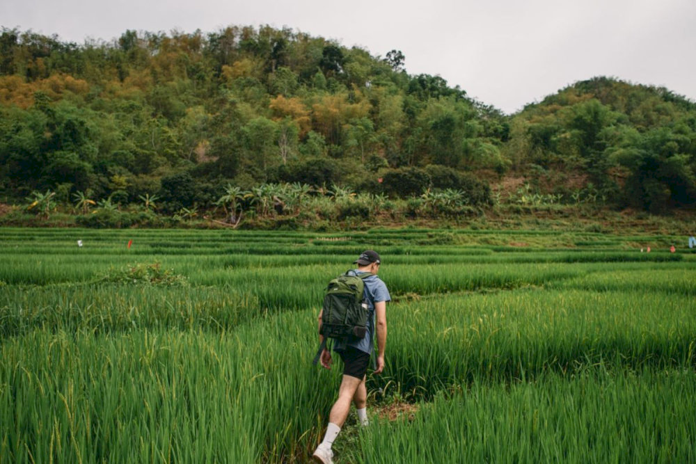 Trekking tours will have price differences depending on the schedule and group of people